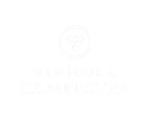 vinic