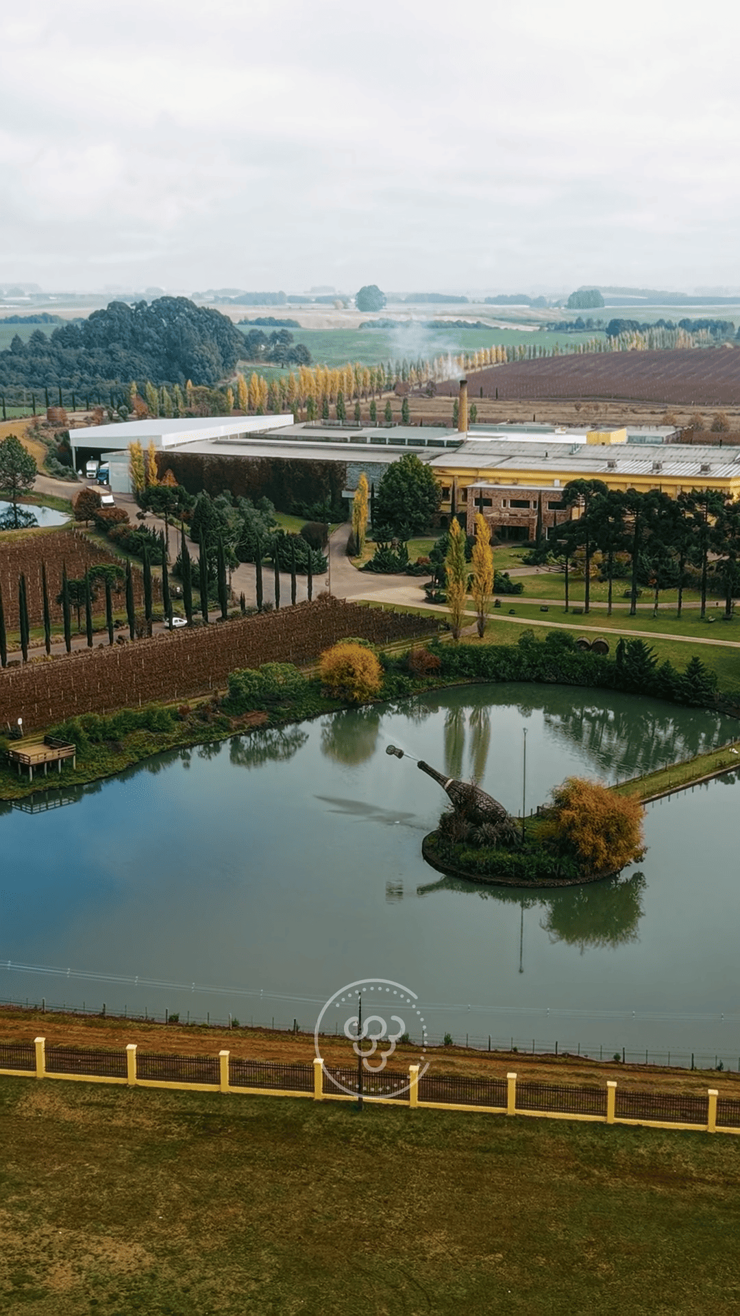 vinicola campestre outono blink